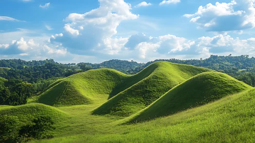 Sunlit rolling green hills under bright summer sky.