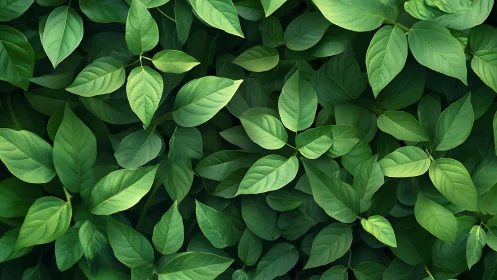 Gentle green leaves create a soft, soothing natural blanket