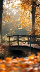 Wooden footbridge spans narrow stream in dense autumn forest