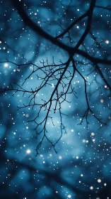 Defocused winter tree branches with shallow depth and snow bokeh