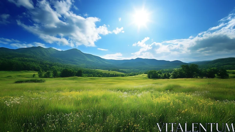 Sunlit mountain meadow opens into a serene summer horizon