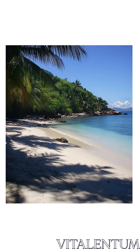 Tropical Beach Cove with Palm Shadows and Turquoise Waters.