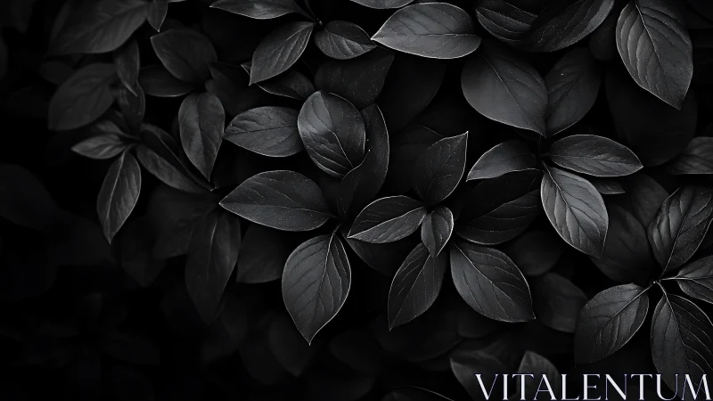 Moody monochrome foliage with layered dark leaves.