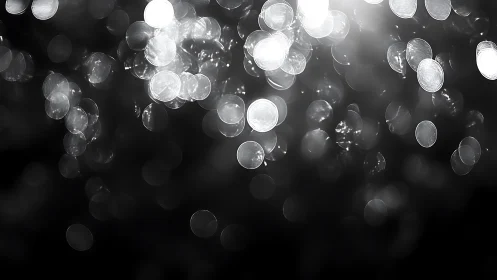 Gentle monochrome bokeh lights drifting through shadowed calm.