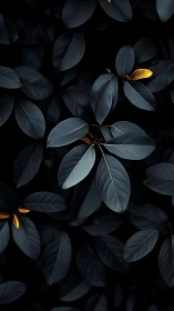 Macro botanical study of dark teal foliage with golden tips