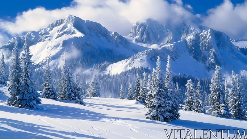 Snow-covered conifer forest extends below rugged mountain ridge