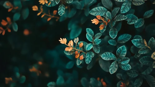 Teal foliage with orange leaves in soft natural focus.