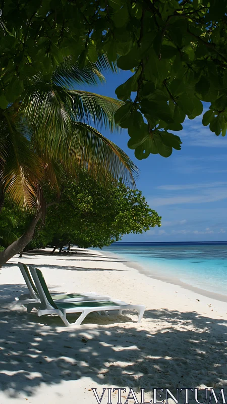 Tropical Beach Paradise. White Sand. Clear Turquoise Waters.