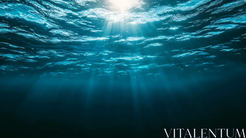 Sunlit underwater ocean surface with deep blue water.