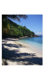 Tropical Beach Cove with Palm Shadows and Turquoise Waters.