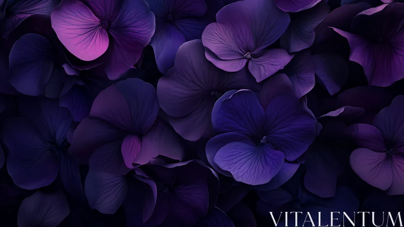 Purple Petals in Darkness: A Floral Symphony.