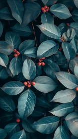 Teal-toned elliptical foliage with clustered red berries in macro