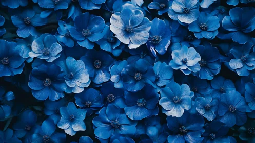 Blue Floral Composition with Layered Petals and Dark Background.