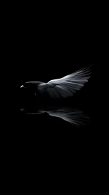 Monochrome side profile of bird in flight on black field