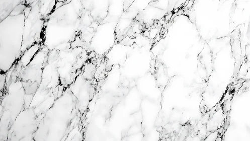 Photorealistic white marble slab with fine organic veining.