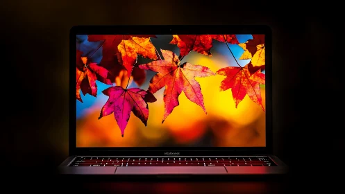 Autumn leaves glowing on a laptop screen in cozy contrast.