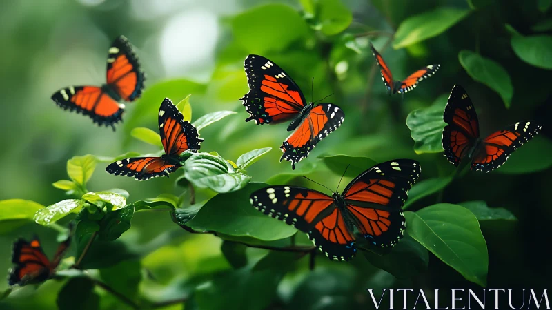 Monarch butterflies drift through lush green forest canopy.