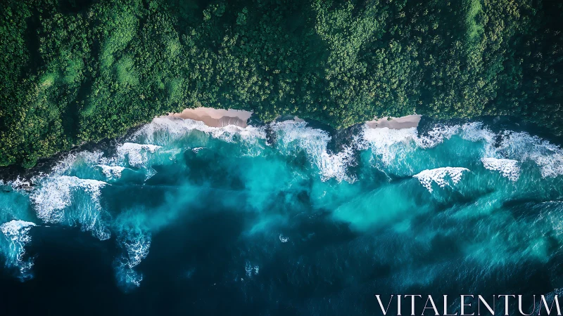 Emerald jungle leans into turquoise surf in rhythmic embrace