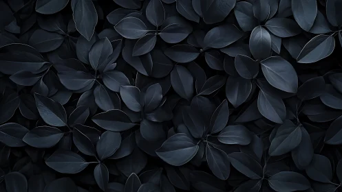 Dark matte foliage fills frame with layered overlapping leaves