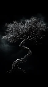 Monochrome twisted tree silhouette against dark background.