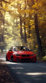 Red modified BMW coupe parked on narrow forest road
