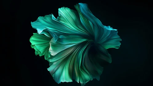 Swirling teal bloom drifting like silk in deep shadow.