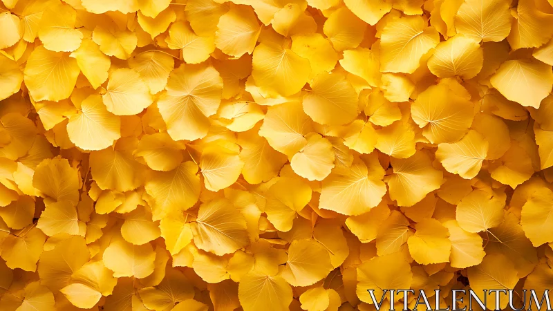 Golden leaf tide rolling in soft waves of autumn light.