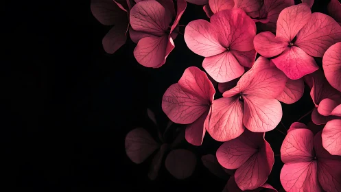 Luminous Petals Dancing Against Darkness.