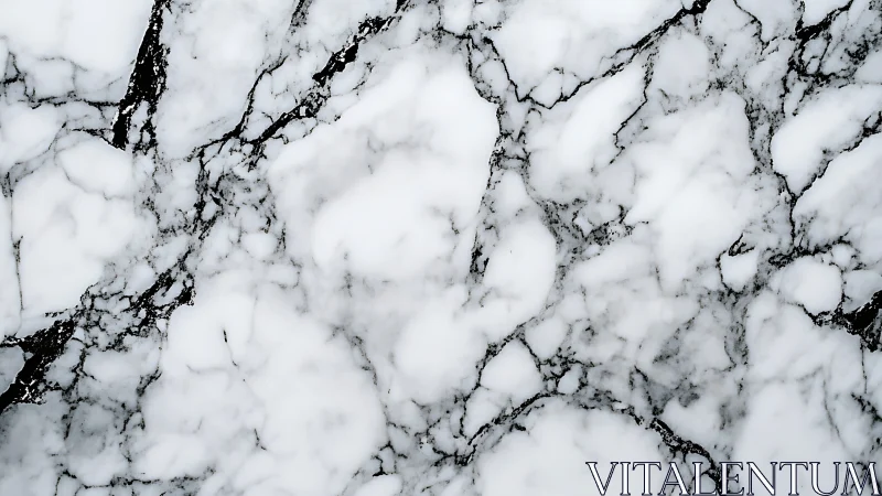 White marble surface shows dense black veining network