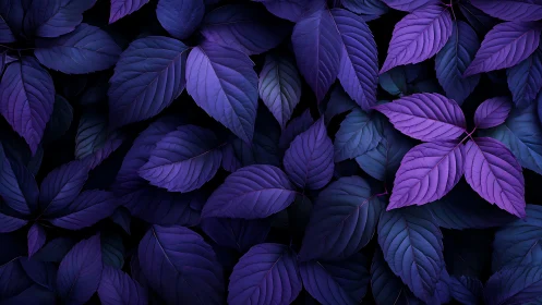 Ultraviolet foliage canopy with high contrast leaf layering
