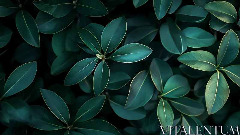 Calm green leaves gathered in a softly glowing garden.