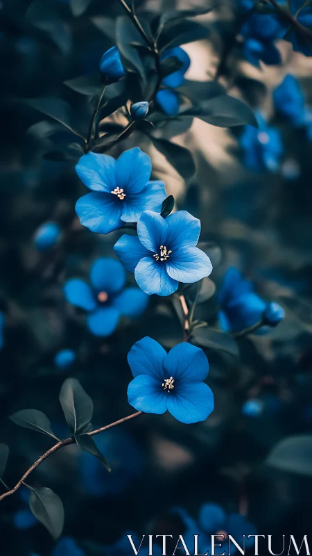 Celestial Petals: Where Deep Blue Blooms Whisper Against Darkness