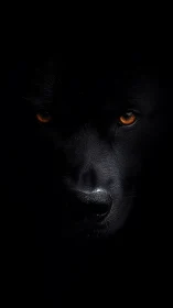 Midnight hound emerges, ember eyes carving through dark.