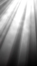 Monochrome volumetric light rays in atmospheric gradient study.