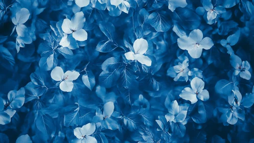 Monochromatic Blue Floral Composition with Shallow Depth of Field