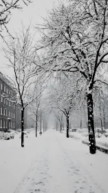 Snow-laden urban avenue with symmetrical tree alignment and depth