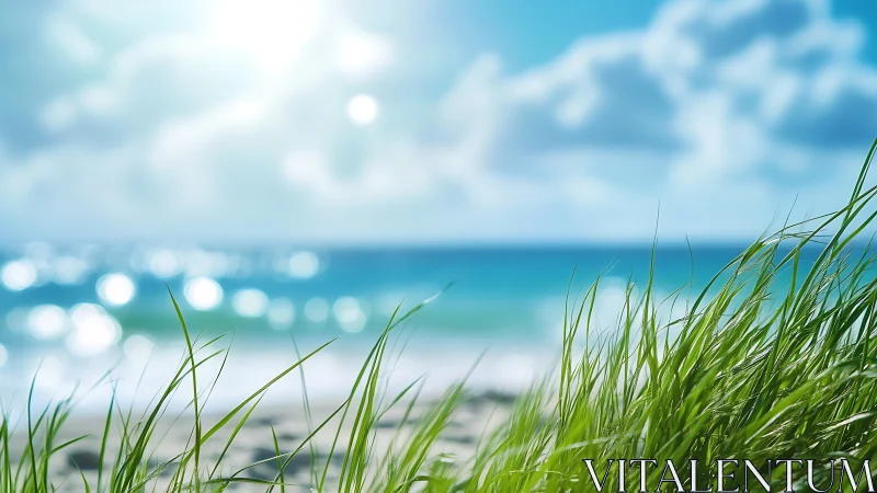 Sunlit coastal grass with bright ocean and soft clouds, realistic style.