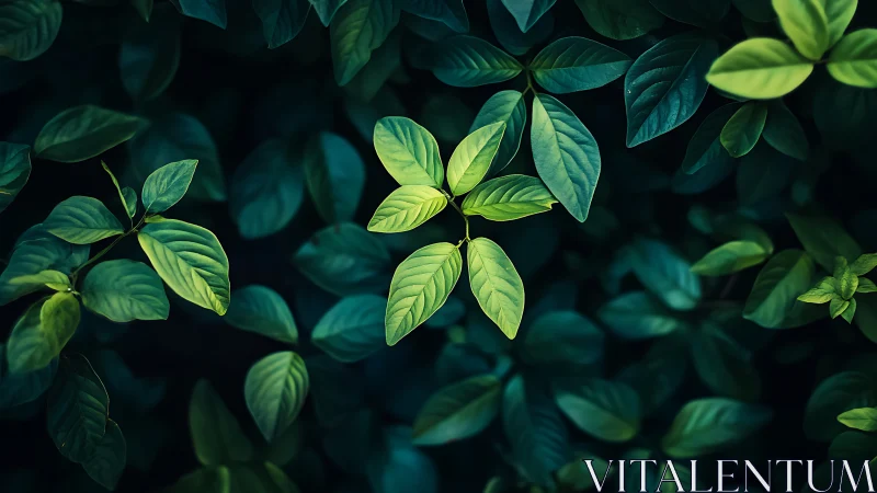 Luminous green foliage cluster under moody low-key lighting.