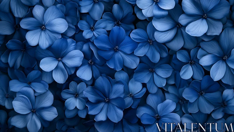 Blue floral cluster with five-petal blooms in tight composition.