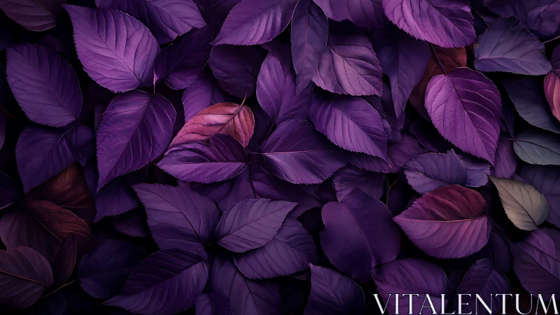 Purple foliage surface with layered overlapping leaves pattern.