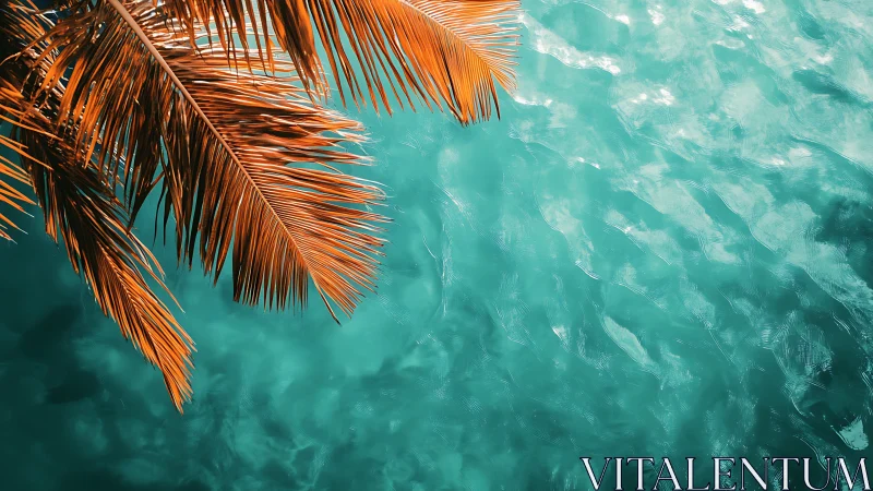 Copper palm fronds contrast vivid turquoise tropical water.