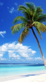 Solitary Palm Tree Against Tropical Ocean Horizon