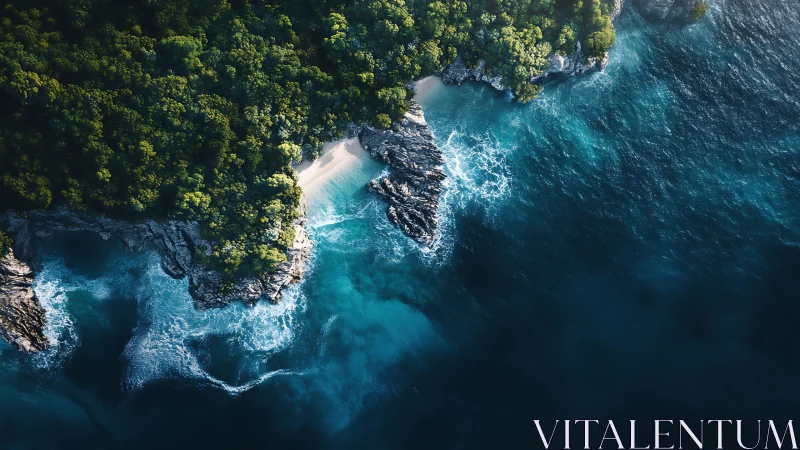 Jungle Sanctuary Meets Azure: Coastal Cliffs Reveal Nature's Hidden Embrace