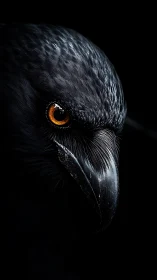 Midnight raven gaze with molten amber eye glow.