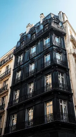 Midday perspective on black Haussmann façade and balconies.