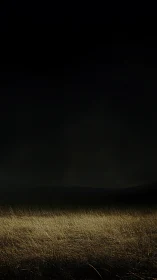 Lonely grassland glows under a vast, ominous night sky.