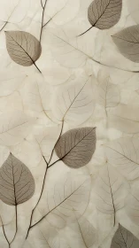 Translucent leaf skeletons form a delicately layered botanical field