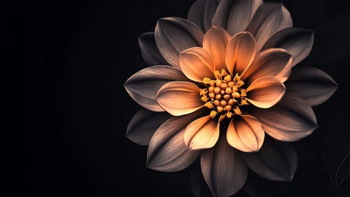 Luminous Dahlia Blooms Against the Night.