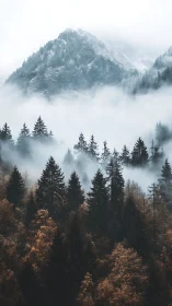 Mist-draped alpine peak above autumn conifer forest.