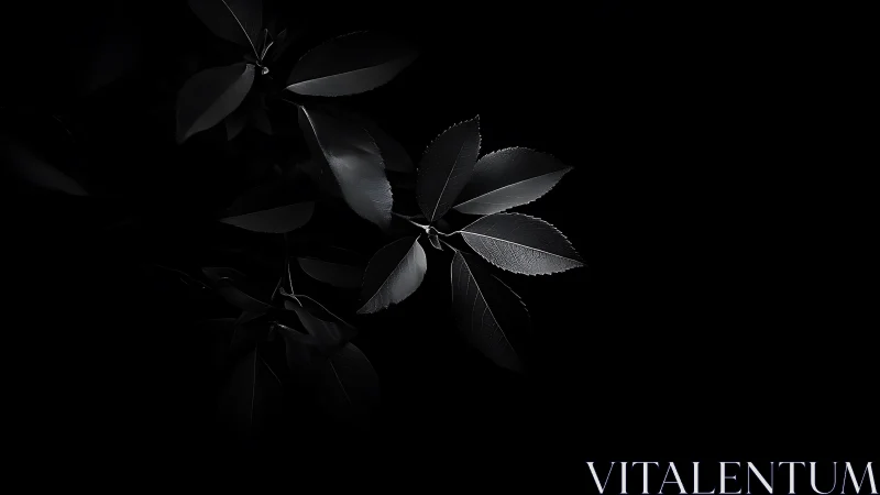 Monochrome leaves emerge through deep negative space darkness.